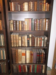 Oldest English bookcase 002