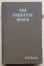 E. H. Bailey - The Prenatal Epoch 1916, Copy 4